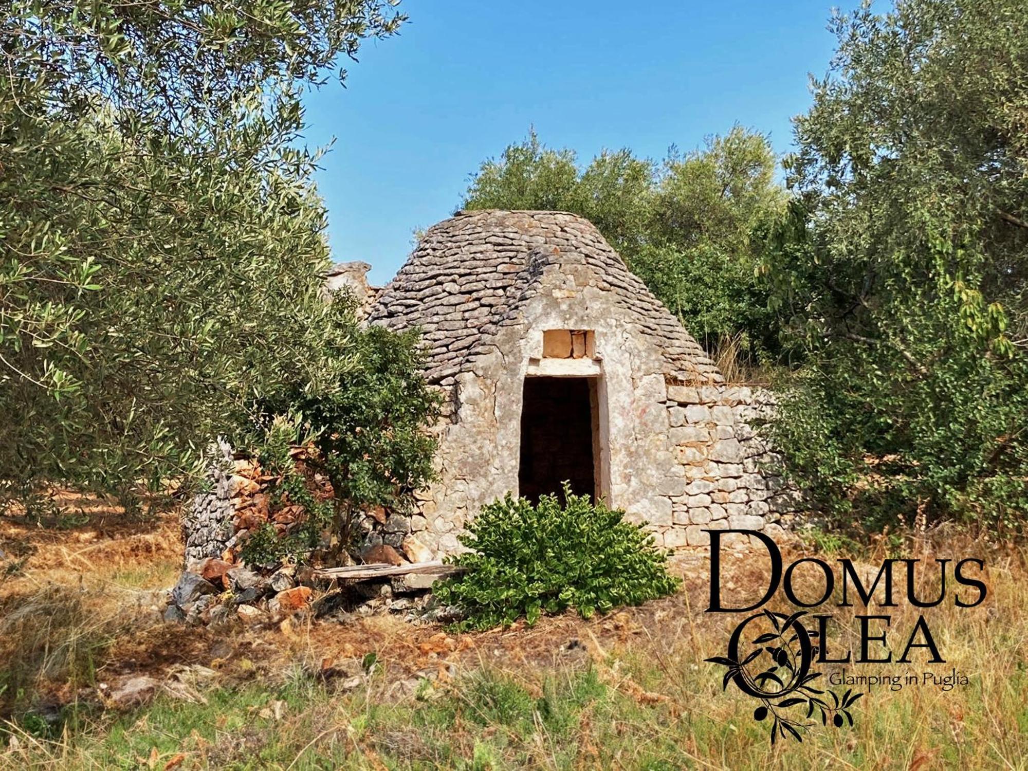 ホテル Domus Olea Glamping チェーリエ・メッサーピカ エクステリア 写真